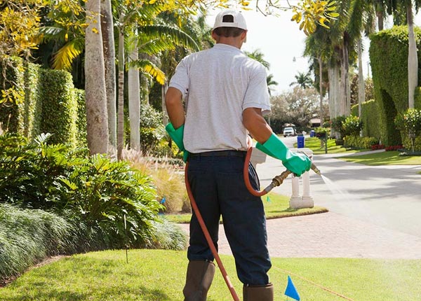 About Babson Park FL Pest Control Pros